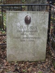 Маневич Иона Иосифович, Москва, Востряковское кладбище