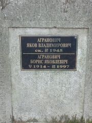Агранович Яков Владимирович, Москва, Востряковское кладбище