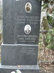 Просмушкина Анна Борисовна, Москва, Востряковское кладбище