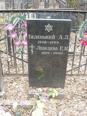 Лебедева Е. И., Москва, Востряковское кладбище
