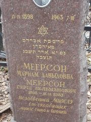 Меерсон Мирель , Москва, Востряковское кладбище