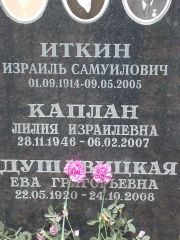 Каплан Лилия Израилевна, Москва, Востряковское кладбище