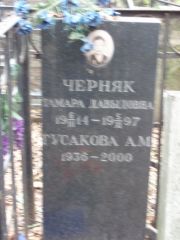 Черняк Тамара Давыдовна, Москва, Востряковское кладбище