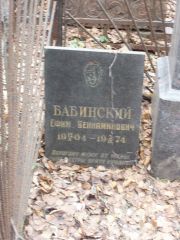 Бабинский Ефим Вениаминович, Москва, Востряковское кладбище
