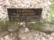 Тевлин Владимир Михайлвоич, Москва, Востряковское кладбище