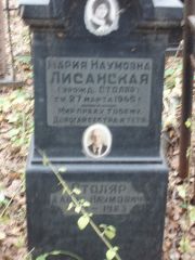 Лисанская-Столяр Мария Наумовна, Москва, Востряковское кладбище