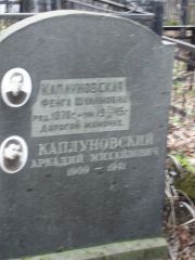 Калуновская Фейга Шулимовна, Москва, Востряковское кладбище