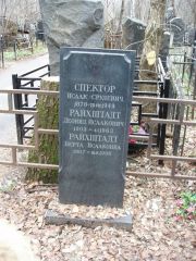 Спектор Исаак Срулевич, Москва, Востряковское кладбище