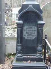 Шпирт Иде Волькович, Москва, Востряковское кладбище