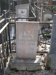 Басс Анна Давидовна, Москва, Востряковское кладбище