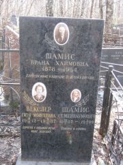 Шамис Брана Хаймовна, Москва, Востряковское кладбище