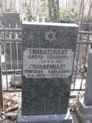 Гильденблат Давид Еселевич, Москва, Востряковское кладбище