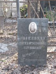 Штейнбак Исаак Моисеевич, Москва, Востряковское кладбище