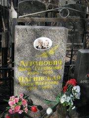 Агронович Яков Гершкович, Москва, Востряковское кладбище