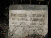 Райхель Хая Шаевна, Москва, Востряковское кладбище