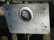 Гальперина Дебора Владимировна, Москва, Востряковское кладбище