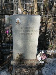 Шапошник Эстер Моисеевна, Москва, Востряковское кладбище