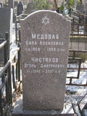 Медовая Ципа Иосиповна, Москва, Востряковское кладбище