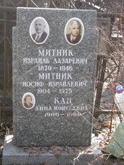 Митник Израиль Лазаревич, Москва, Востряковское кладбище