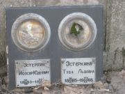 Эстеркина Туба Львовна, Москва, Востряковское кладбище