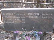 Негинская Елена Александровна, Москва, Востряковское кладбище