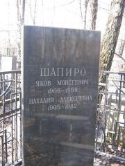 Шапиро Яков Моисеевич, Москва, Востряковское кладбище