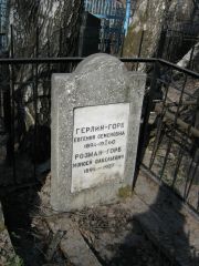 Розман-Горб Моисей Савельевич, Москва, Востряковское кладбище