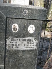Пшитыкевич Натан Давидович, Москва, Востряковское кладбище