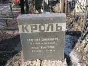Кроль Григорий Самойлович, Москва, Востряковское кладбище