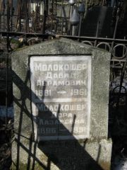 Молокошер Давид Абрамович, Москва, Востряковское кладбище