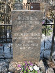 Локшина Белья Борисовна, Москва, Востряковское кладбище