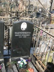 Каценеленбоген Эмилий Вульфович, Москва, Востряковское кладбище
