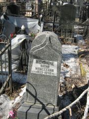 Иоффе Анна Моисеевна, Москва, Востряковское кладбище
