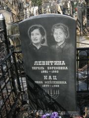 Левитина Перель Ефремова, Москва, Востряковское кладбище