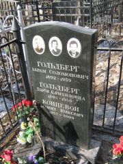 Гольдберг Дыся Самуиловна, Москва, Востряковское кладбище