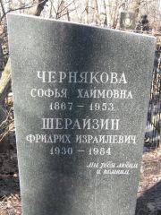 Шерайзин Фридрих Израилевич, Москва, Востряковское кладбище
