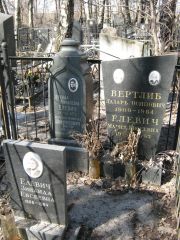 Елевич Зинаида Евсеевна, Москва, Востряковское кладбище