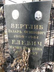 Вертлиб Лазарь Осипович, Москва, Востряковское кладбище
