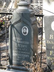 Елевич Фрейда Израилевна, Москва, Востряковское кладбище