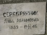 Серебрянник Либа Абрамовна, Москва, Востряковское кладбище