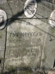 Гурфинкель Иосиф Ноевич, Москва, Востряковское кладбище