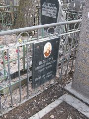 Шапиро Зиновий Яковлевич, Москва, Востряковское кладбище