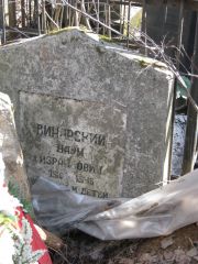 Винарская Наум Израилович, Москва, Востряковское кладбище