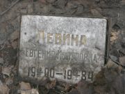 Левина Евгения Иосифовна, Москва, Востряковское кладбище