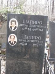 Шапиро Лидия Дмитриевна, Москва, Востряковское кладбище