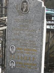 Зельцер Абрам Беньяминович, Москва, Востряковское кладбище