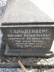 Гольденберг Михаил Израилевич, Москва, Востряковское кладбище