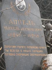 Аппель Танхель Шимонович, Москва, Востряковское кладбище