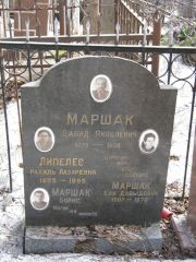 Липелес Рахиль Лазаревна, Москва, Востряковское кладбище