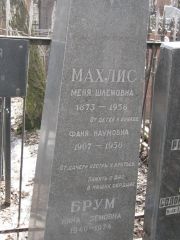 Махлис Меня Шлемовна, Москва, Востряковское кладбище